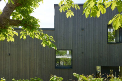 Façade en bardage bois sombre sous les branches d’un châtaignier